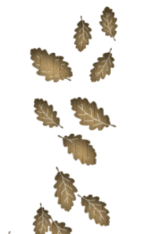 Dokor Eichenblätter